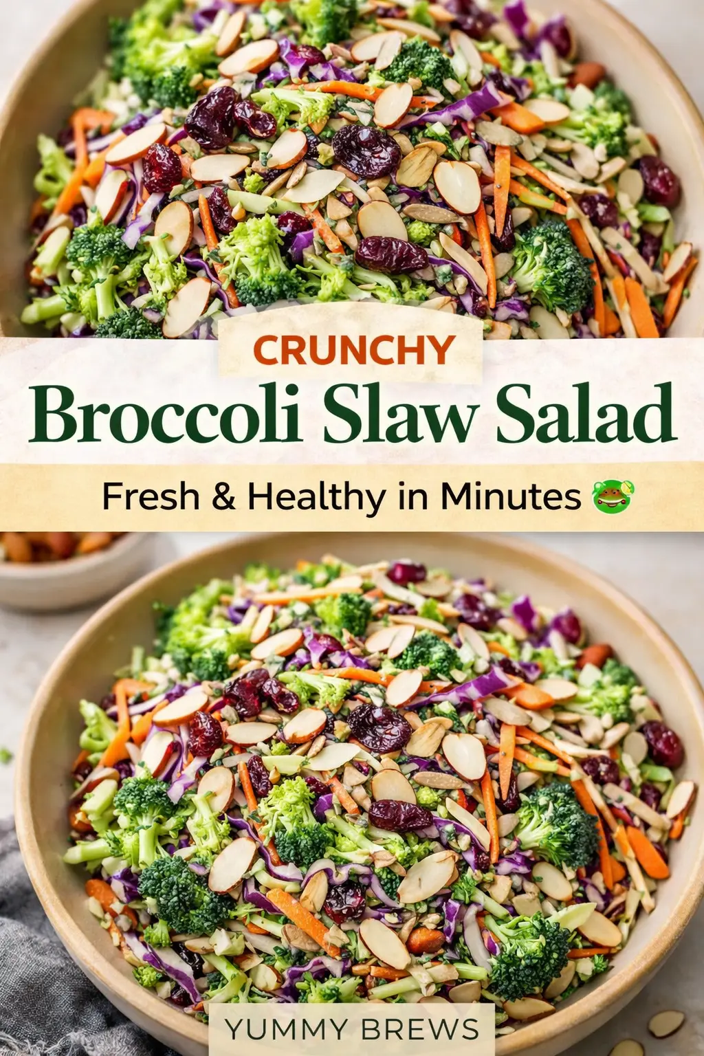 Broccoli Slaw Salad Broccoli Slaw Salad