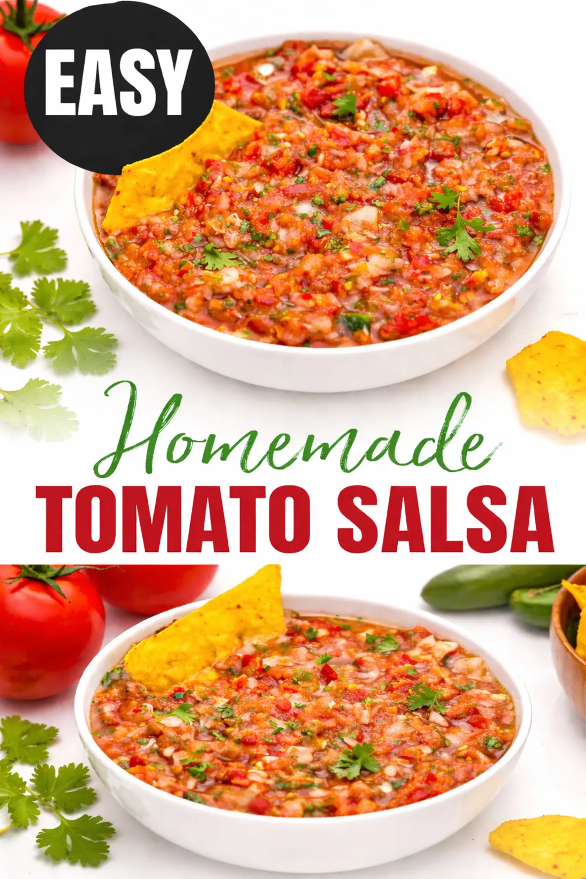Tomato Salsa –