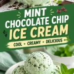 mint chocolate chip ice cream Mint Chocolate Chip Ice Cream